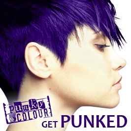 PUNKY COLOR】VIOLET - FUUDOBRAIN ONLINE STORE