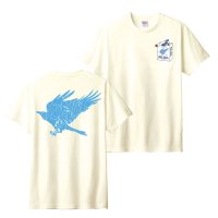 <img class='new_mark_img1' src='https://img.shop-pro.jp/img/new/icons13.gif' style='border:none;display:inline;margin:0px;padding:0px;width:auto;' />BACARA_ T shirt Ivory