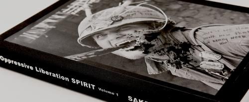 The Beginning of Visual Acoustic Therapy NEW BOOK (SAKEVI of