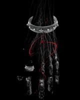 <img class='new_mark_img1' src='https://img.shop-pro.jp/img/new/icons13.gif' style='border:none;display:inline;margin:0px;padding:0px;width:auto;' />��GARA_STAR DOT BANGLE��