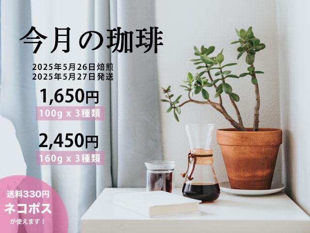 ④【選べる生豆2kg】＋酸素漂白ペーパー200枚