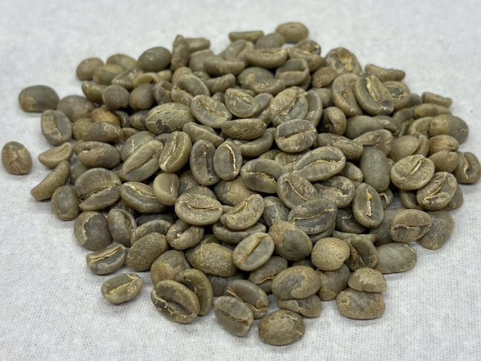 グアテマラ／SHBアカテナンゴ・カフェ・デ・ボルカン・ブエナヴィスタ