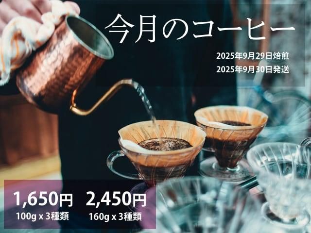 プレミアムハニー生豆コーヒー　【5Kg】送料無料 オーガニックコーヒー フェアトレードコーヒー 生豆 卸・通販の