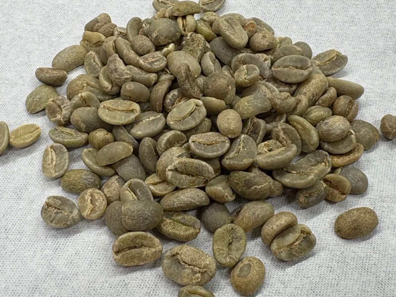 コロンビア／ナリーニョ・アリアンサ無農薬（生豆） - コーヒー生豆