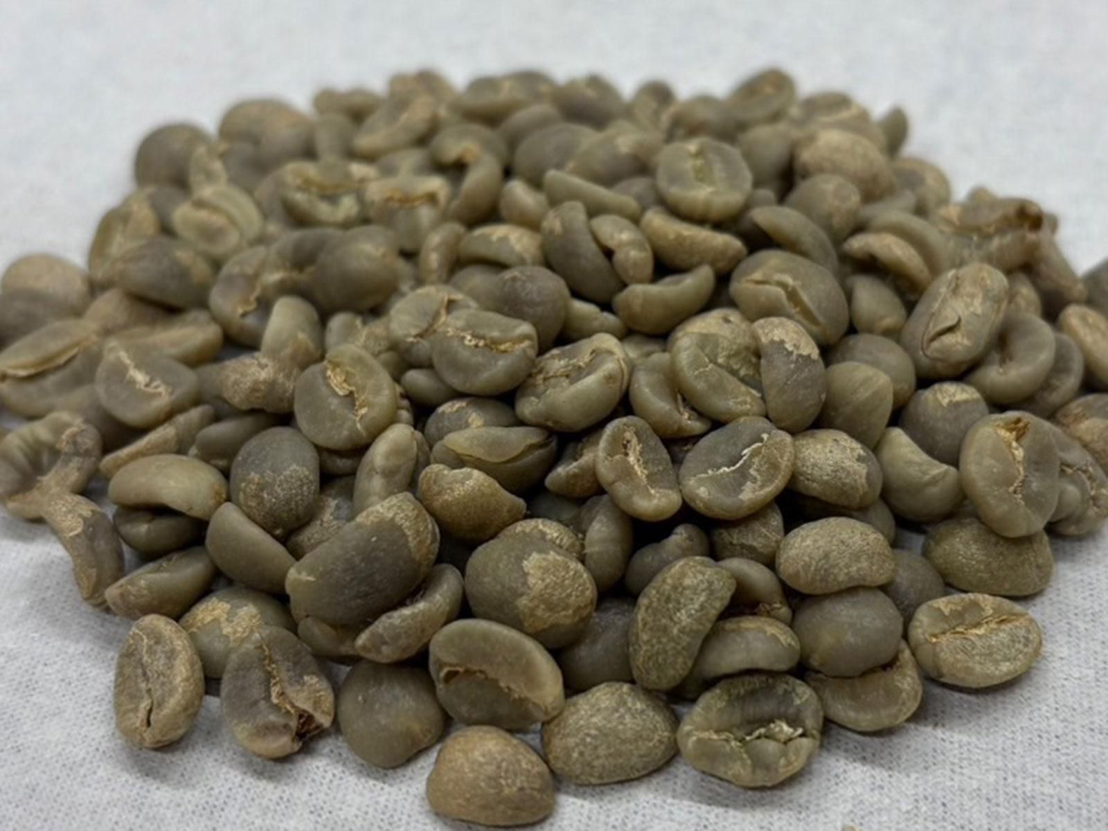 タンザニア／AAキゴマ・レイクブレス（生豆） - コーヒー生豆