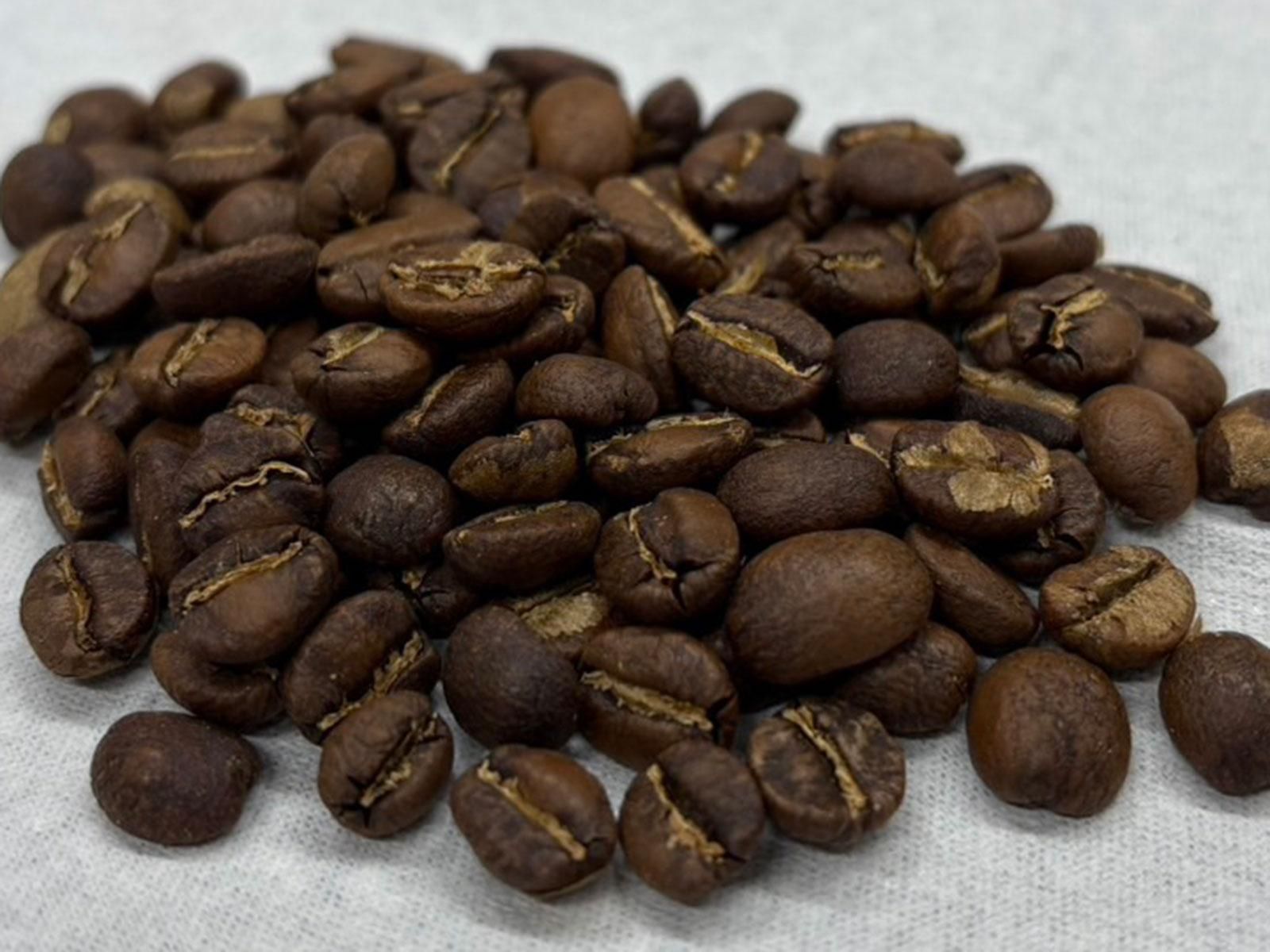 タンザニア／AAコンゴニ農園クラシック・キリマンジャロ（生豆