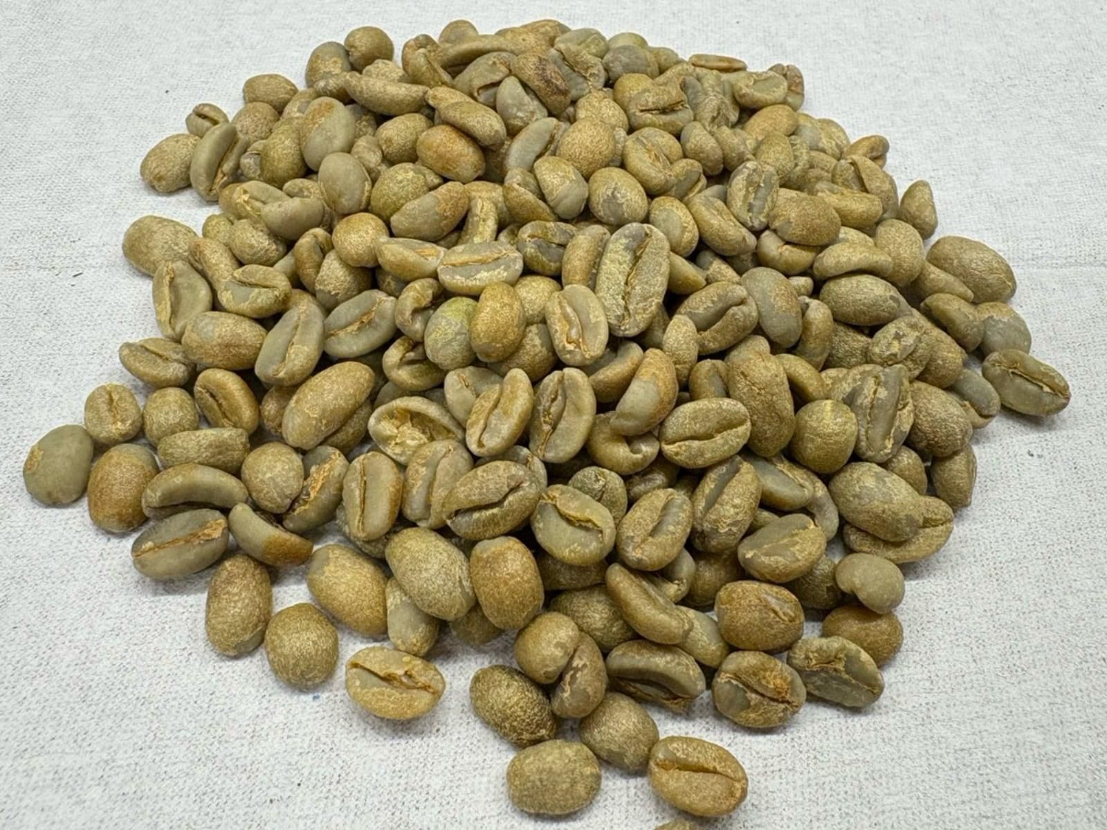 エチオピア／グジG-1ナチュラル・シャキッソ・タデ農園無農薬（生豆）