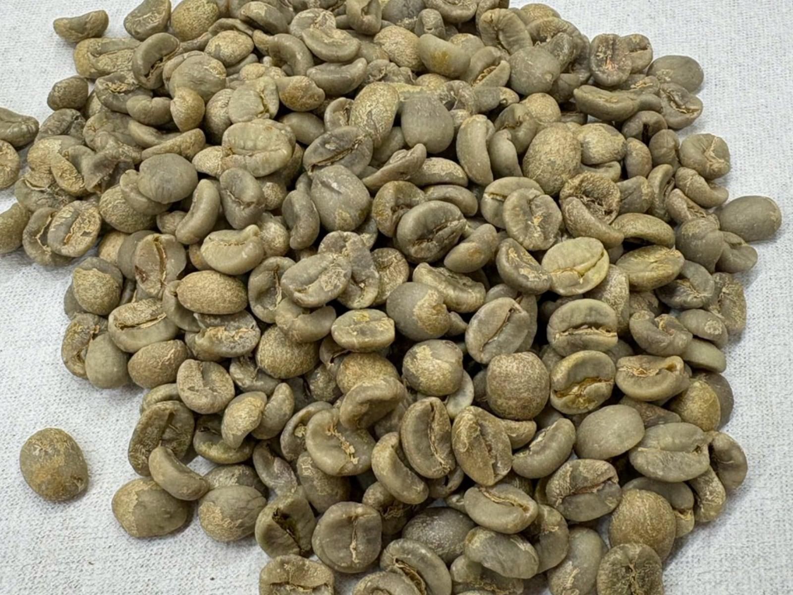 ֥饸롿֥ܥ󡦥饷ŦߡƦ