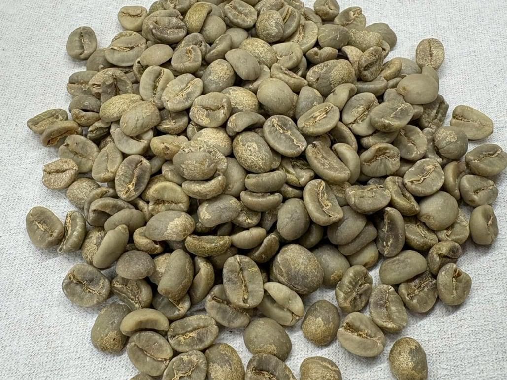 ֥饸롿ŦߴƦŦߡƦ