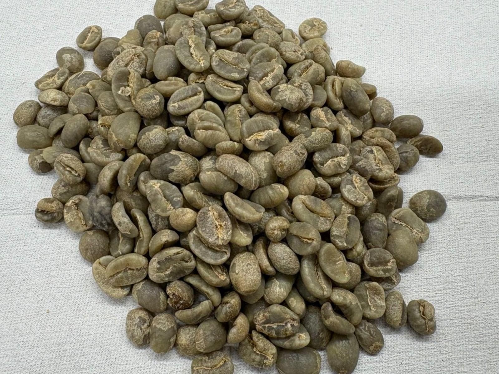 ��������������ҥ����Ʀ��