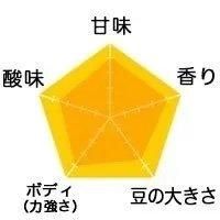 特別企画★一番摘み 　手摘み完熟豆ブラジル500g★落札後焙煎します 自家焙煎コーヒー豆 】ブラジル 一番摘み 手摘み完熟豆