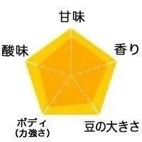 ブラジル／アマレロ・イエローブルボン・アルコイリス農園（生豆