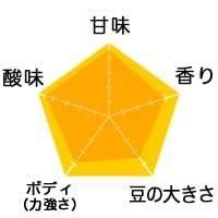 グアテマラ／SHBアカテナンゴ・カフェ・デ・ボルカン・ブエナヴィスタ