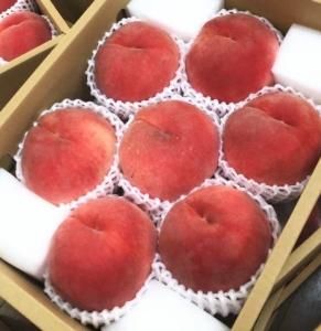 桃農家、葡萄農家 ブドウとモモの二刀流で産地を盛り上げる若手農家｜【笑味ちゃん