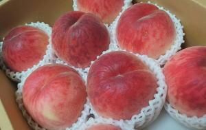 うめチョコ様　魅惑の夢桃香　EM酵母栽培　生産者直送！　5kg箱 うめチョコ様 魅惑の夢桃香 EM酵母栽培 生産者直送！ 5kg箱 夢