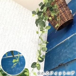 ե꡼  եåȥ˥ ƥꥢ տʪ ǥ졼 ؤ  ץ쥼 ե ۤ 餷 ˤ  ޯ 襤 İ