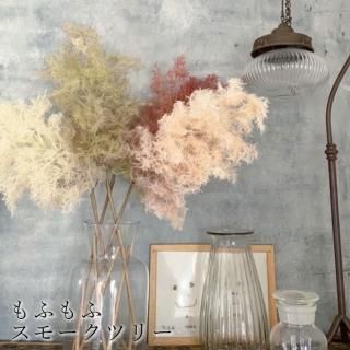 ʤ뤹 ե꡼  ⡼ĥ꡼ ƥꥢ տʪ ¤ ꡼ ǥ졼 ؤ   ץ쥼 ե ۤ 餷 ˤ