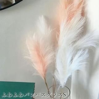 ʤ뤹 ե꡼  դդѥѥ饹S S ԥ ۥ磻 ƥꥢ տʪ ǥ졼 ؤ  ץ쥼 ե ۤ 餷