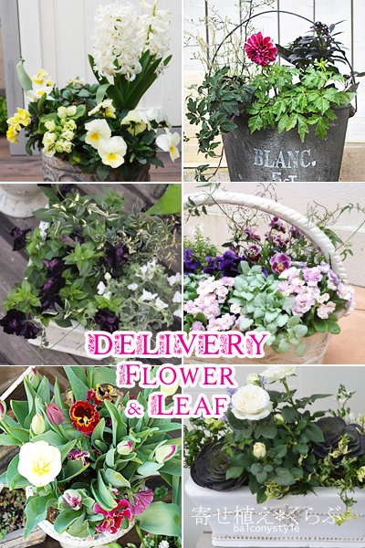 Delivery Flower&Leaf花苗定期便