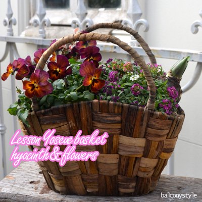 レッスン1 2月店舗限定ヒヤシンス球根と春の花寄せ植えバスケット