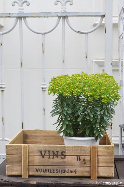 ガーデンウッドボックス木箱3サイズセット バルコニースタイル ガーデニング雑貨 ベランダガーデニング