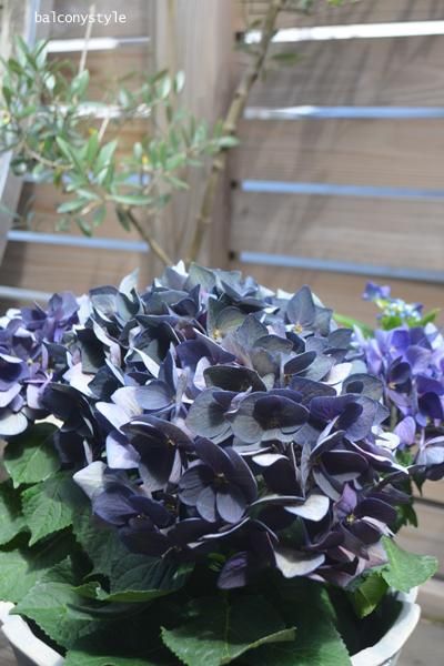 新品本物 モーブ系のあじさい おもちゃ 人形