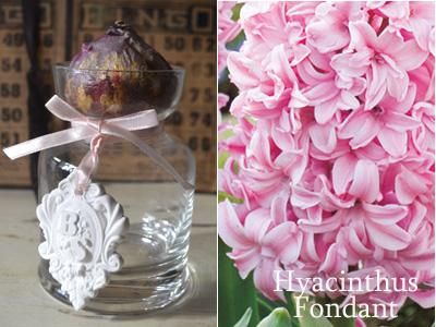 ヒヤシンスfondant フォンダント 大球 バルブガラス水栽培ポットセットアロマストーンチャーム付 バルコニースタイル ガーデニング雑貨 ベランダガーデニング ヒヤシンスfondant フォンダント 大球 バルブガラス水栽培ポットセットアロマストーンチャーム付 バルコニースタイル ガーデニング雑貨 ベランダガーデニング