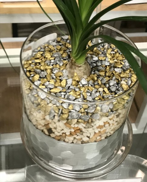 シルバーシリンダー＆ソーサー　ガラスの植木鉢 - バルコニースタイル｜ガーデニング雑貨・ベランダガーデニング
