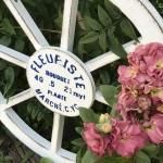 再入荷 - ガーデニング雑貨｜ガーデニング雑貨・ベランダガーデニング