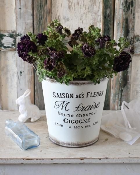 母の日八重咲プレミアムペチュニア プリキ鉢カバー付き