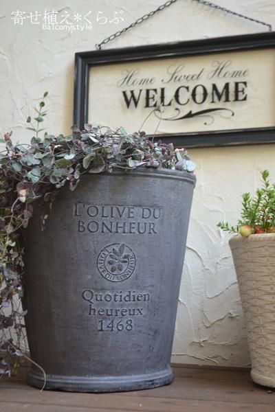 ハートカズラ - バルコニースタイル｜ガーデニング雑貨