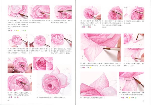 美しいバラを描く 日貿出版社