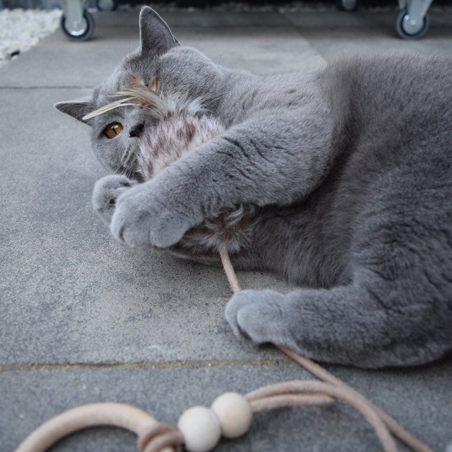LABBVENN 猫のおもちゃ キャットトイ ドッグトイ 猫  ネズミ ボール ネコ ペット用品