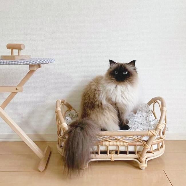 <img class='new_mark_img1' src='https://img.shop-pro.jp/img/new/icons6.gif' style='border:none;display:inline;margin:0px;padding:0px;width:auto;' />【送料無料】Rattan Doll Bed (ラタン製ドールベッド)