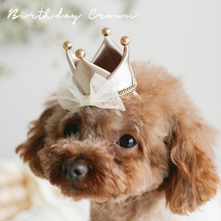 <img class='new_mark_img1' src='https://img.shop-pro.jp/img/new/icons14.gif' style='border:none;display:inline;margin:0px;padding:0px;width:auto;' />̵Mini Birthday Crown (إԥ󥿥/Хɥ) by bcbasics