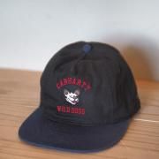 Carhartt WIP(ϡ) Wild Dog Cap<img class='new_mark_img2' src='https://img.shop-pro.jp/img/new/icons12.gif' style='border:none;display:inline;margin:0px;padding:0px;width:auto;' />