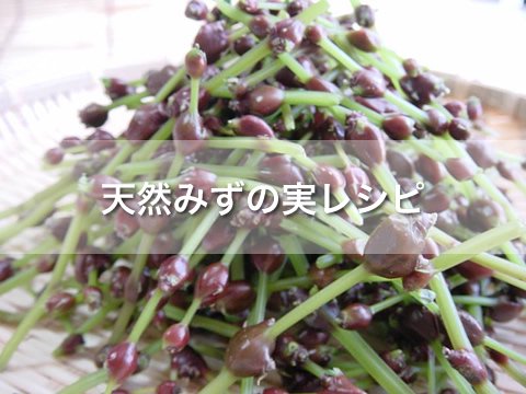 天然みずの実レシピ あきた森の宅配便 秋田の天然山菜を産直販売 山菜レシピも盛りだくさん
