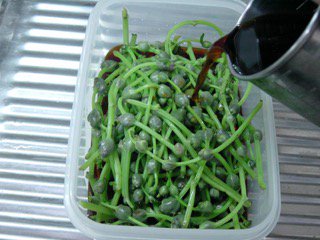 天然みずの実レシピ あきた森の宅配便 秋田の天然山菜を産直販売 山菜レシピも盛りだくさん