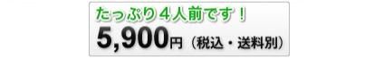夏の天然山菜鍋セット