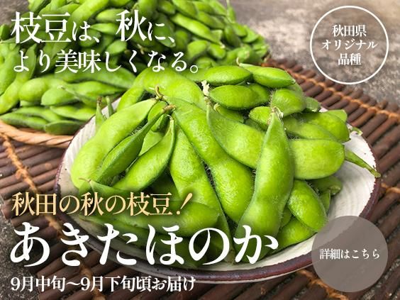 ۤΤʻƦ