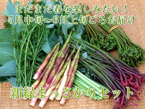 あきた森の宅配便｜秋田の天然山菜を産直販売！山菜レシピも盛りだくさん！