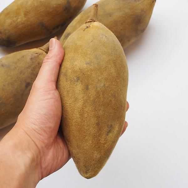 baobabの実様 Baobab Feathers Candle Max 16 | Kneen & Co