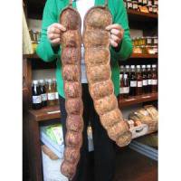 モダマ 藻玉 Entada Rheedii 世界最大の豆 ｌサイズ 55 70cm 軽井沢 ジャムこばやし