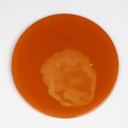 <img class='new_mark_img1' src='https://img.shop-pro.jp/img/new/icons3.gif' style='border:none;display:inline;margin:0px;padding:0px;width:auto;' />եåȥ饦ɥץ졼ȡȥեȥ+ۥ磻25