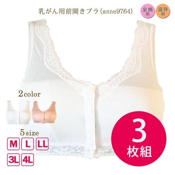 saluteＩ80ブラジャー＆Мサイズ 楽天市場】ブラジャー 乳がん 大きいサイズ 全摘 手術後 ノン