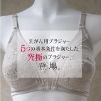 <img class='new_mark_img1' src='https://img.shop-pro.jp/img/new/icons20.gif' style='border:none;display:inline;margin:0px;padding:0px;width:auto;' />72̵ Ѹùѥåդ֥饸㡼<br> ABCå ե륫å å Υ磻䡼<br>anne-15072