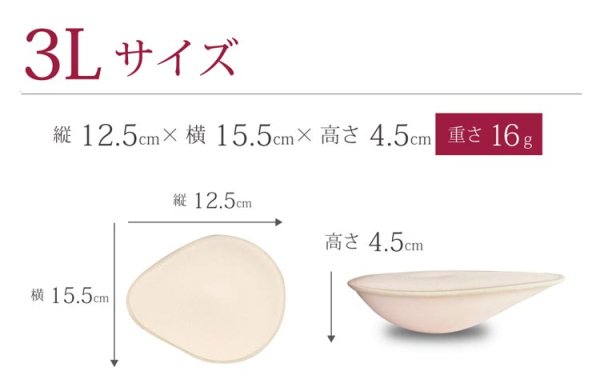 乳癌 乳がん用パット 水着用 Pad Swim ３l 日本製通常4180円から5 引き 乳がん下着の専門店アン