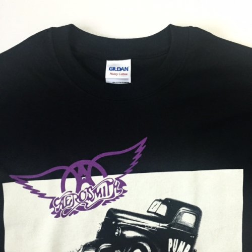 Aero Smith エアロ・スミス "PUMP" Tシャツ バンドT