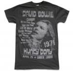 David Bowie ǥӥåɡܥ HUNKY DORY 1972 T ХT
