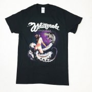 Whitesnake ۥ磻ȥͥ 